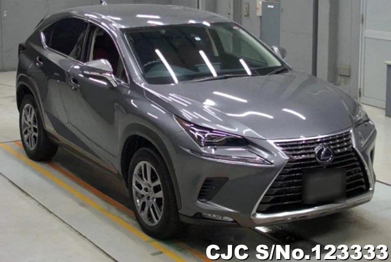 2019 Lexus / NX 300h Stock No. 123333