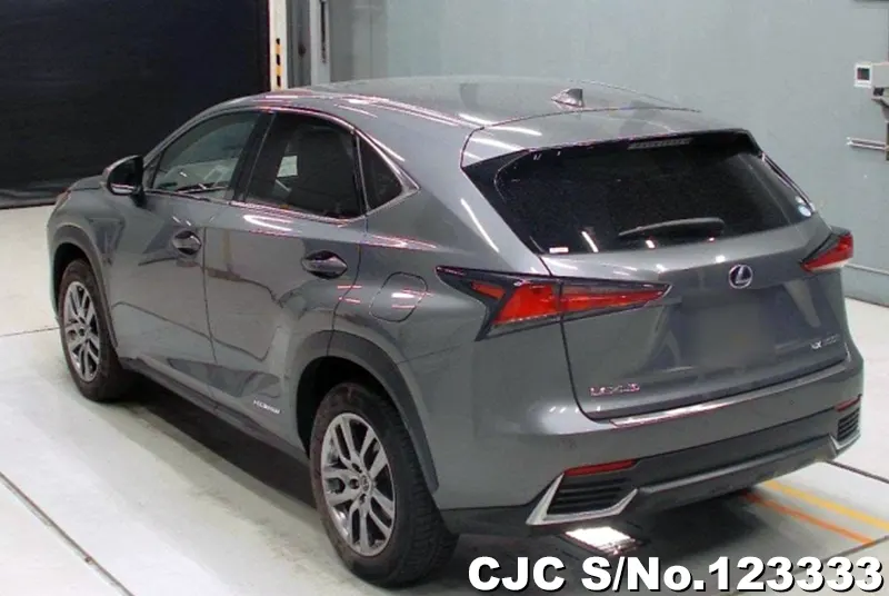 2019 Lexus / NX 300h Stock No. 123333