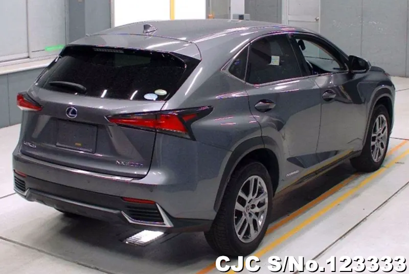 2019 Lexus / NX 300h Stock No. 123333