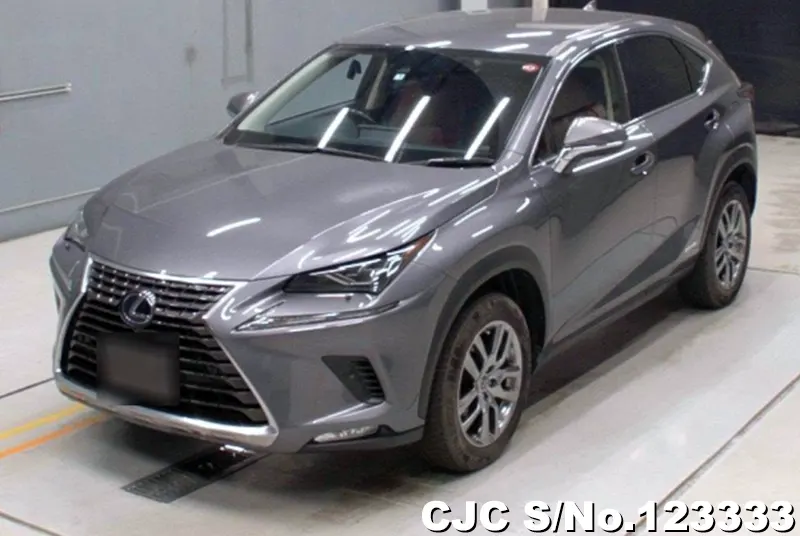 2019 Lexus / NX 300h Stock No. 123333