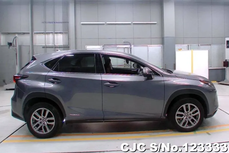 2019 Lexus / NX 300h Stock No. 123333