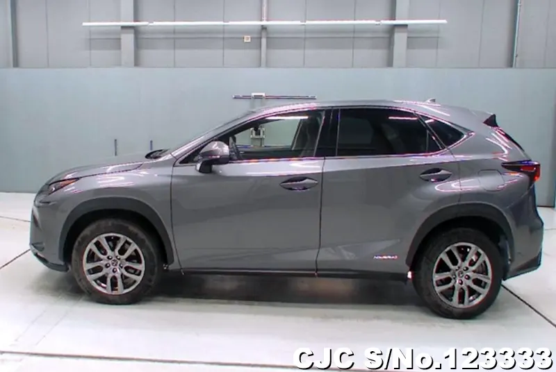 2019 Lexus / NX 300h Stock No. 123333