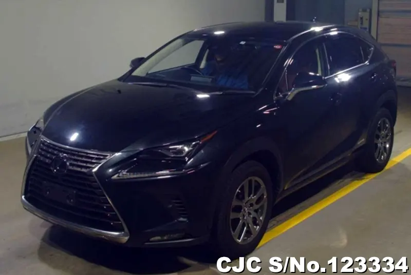 2019 Lexus / NX 300h Stock No. 123334