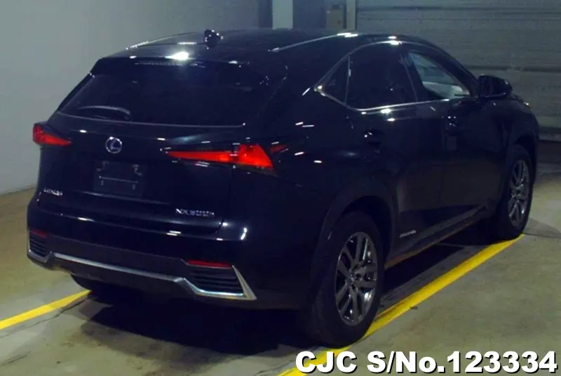 2019 Lexus / NX 300h Stock No. 123334