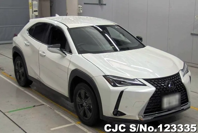 Lexus / UX 200 2020