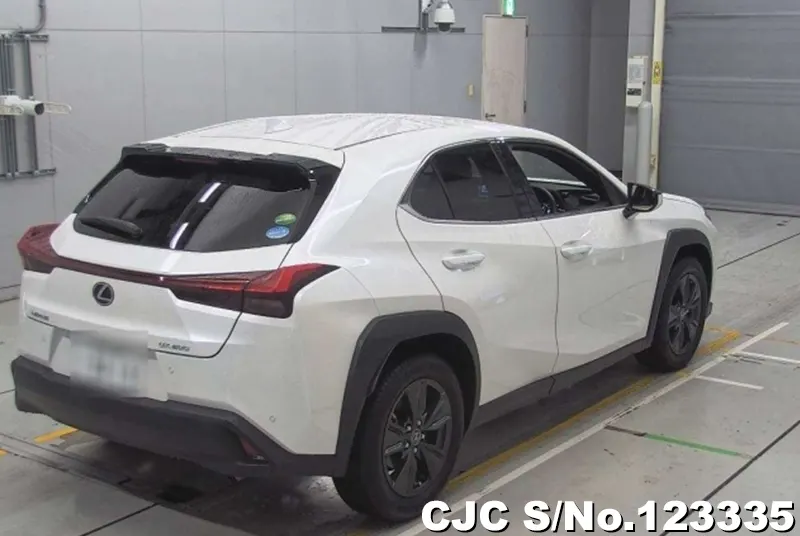 2020 Lexus / UX 200 Stock No. 123335