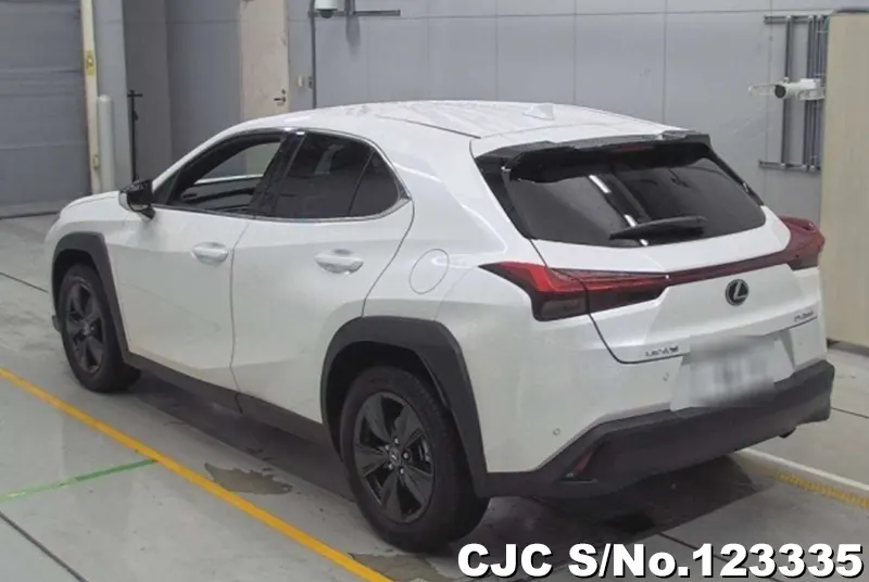 2020 Lexus / UX 200 Stock No. 123335