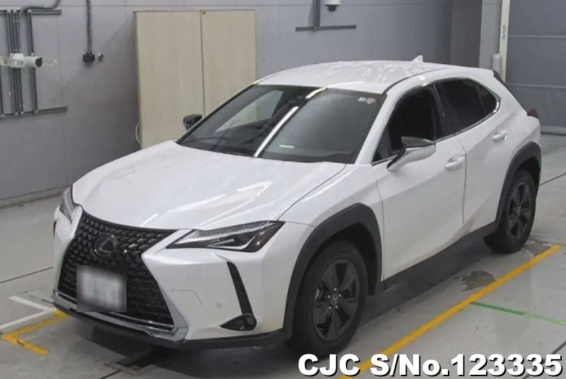 2020 Lexus / UX 200 Stock No. 123335