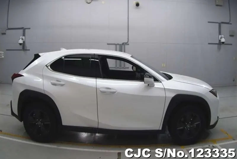 2020 Lexus / UX 200 Stock No. 123335