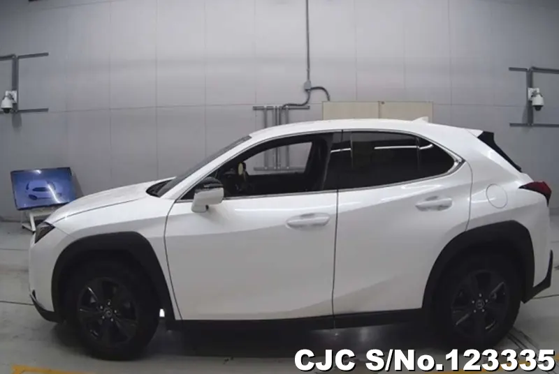 2020 Lexus / UX 200 Stock No. 123335