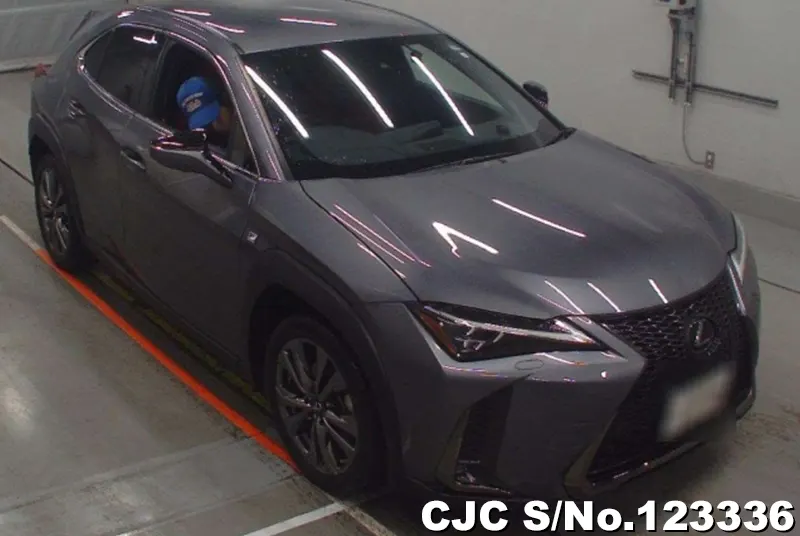 Lexus / UX 200 2020