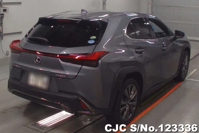 2020 Lexus / UX 200 Stock No. 123336