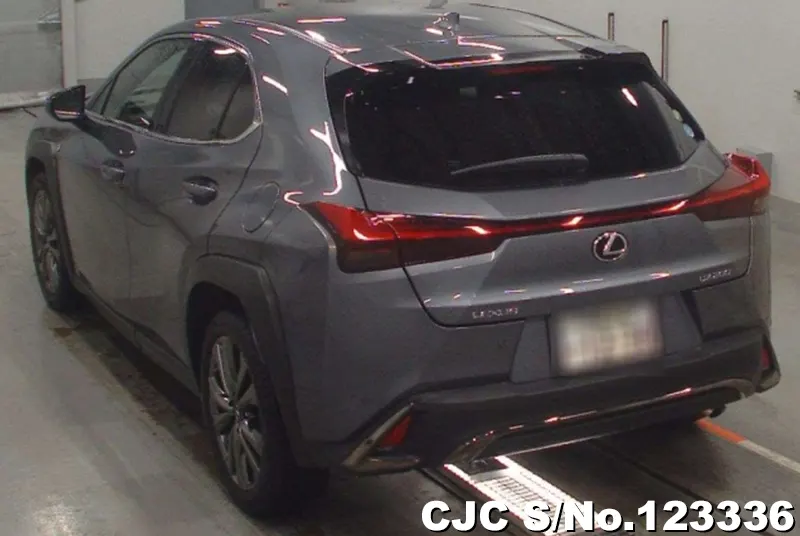 2020 Lexus / UX 200 Stock No. 123336