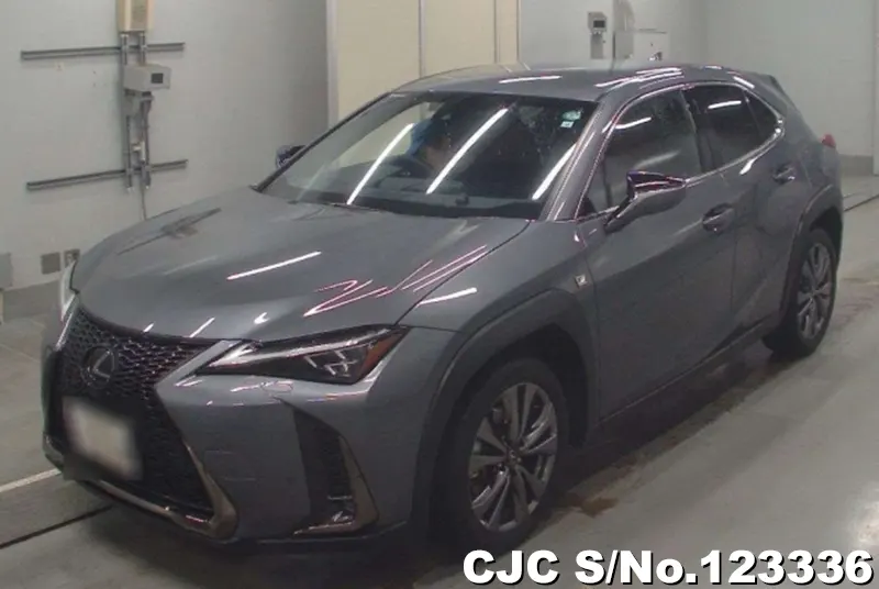 2020 Lexus / UX 200 Stock No. 123336