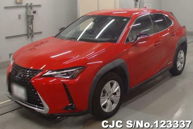 2019 Lexus / UX 250H Stock No. 123337