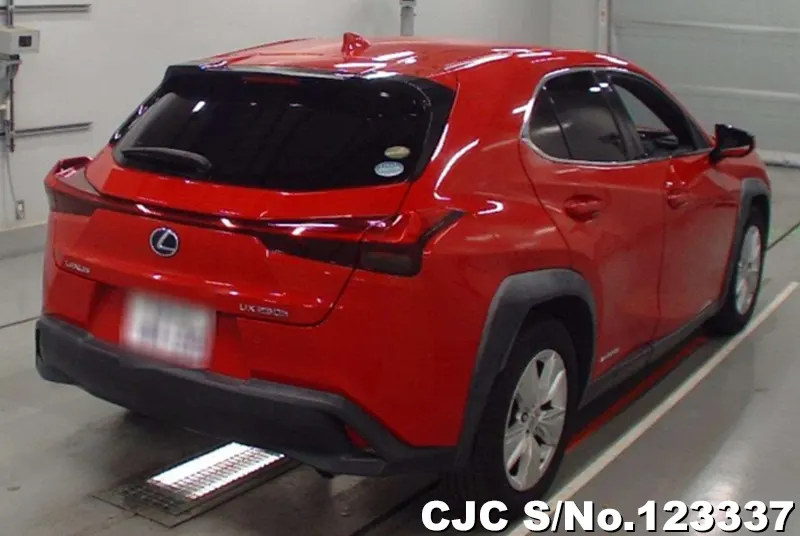 2019 Lexus / UX 250H Stock No. 123337