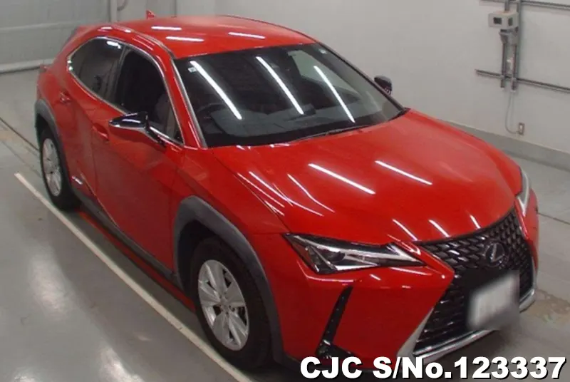 2019 Lexus / UX 250H Stock No. 123337