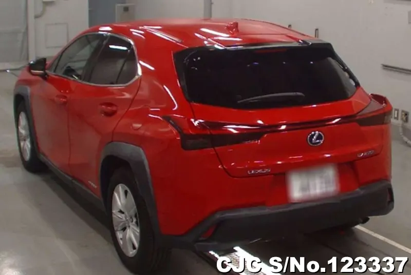 2019 Lexus / UX 250H Stock No. 123337