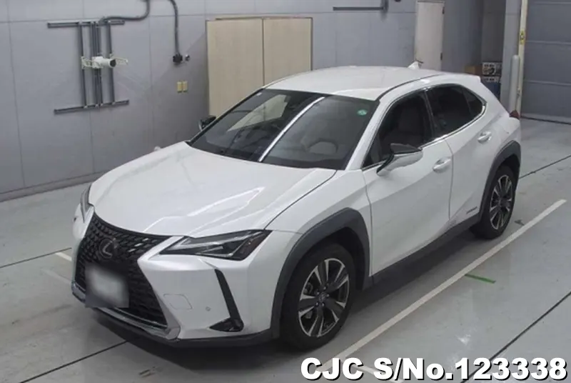 2019 Lexus / UX 250H Stock No. 123338