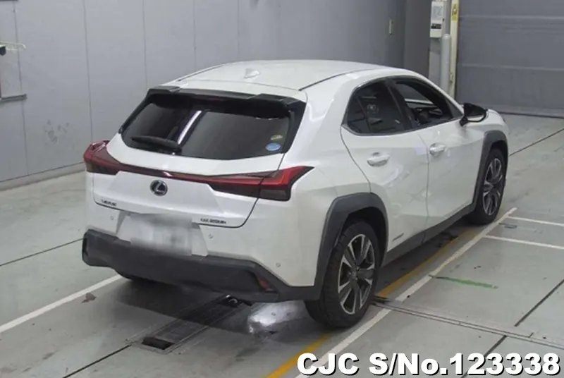 2019 Lexus / UX 250H Stock No. 123338