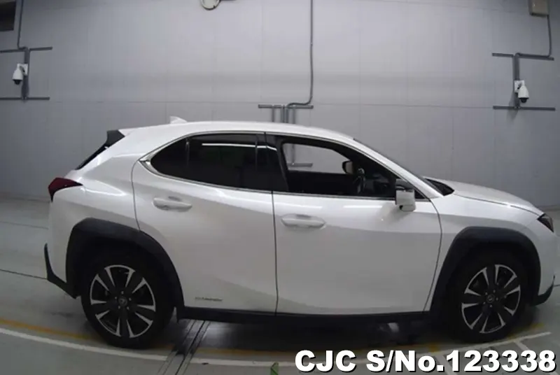 2019 Lexus / UX 250H Stock No. 123338