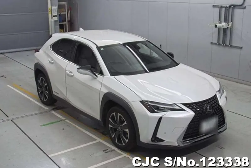 2019 Lexus / UX 250H Stock No. 123338