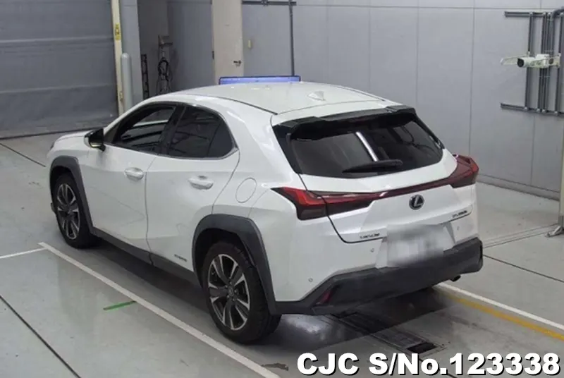 2019 Lexus / UX 250H Stock No. 123338