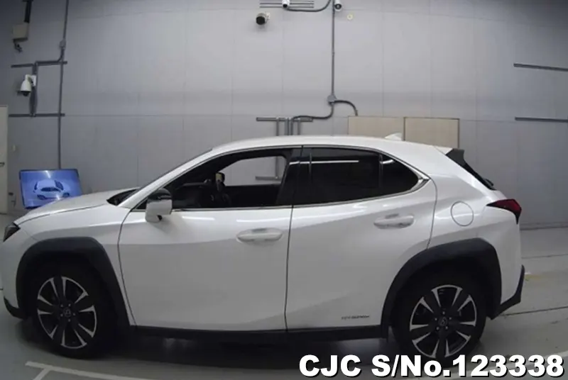 2019 Lexus / UX 250H Stock No. 123338