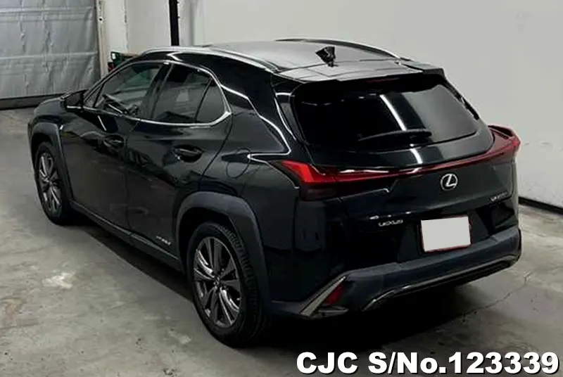 2019 Lexus / UX 250H Stock No. 123339