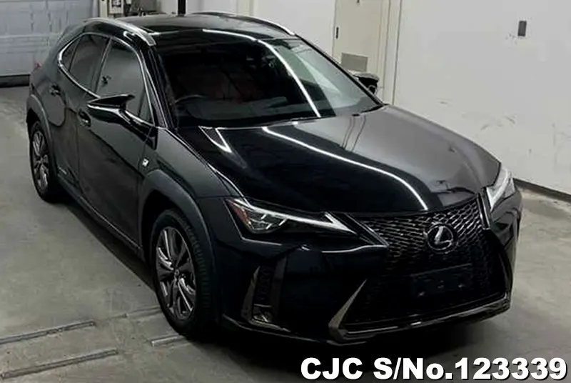 2019 Lexus / UX 250H Stock No. 123339