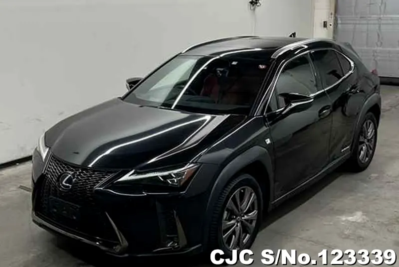 2019 Lexus / UX 250H Stock No. 123339