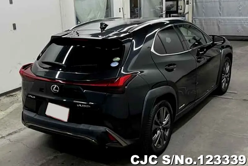 2019 Lexus / UX 250H Stock No. 123339