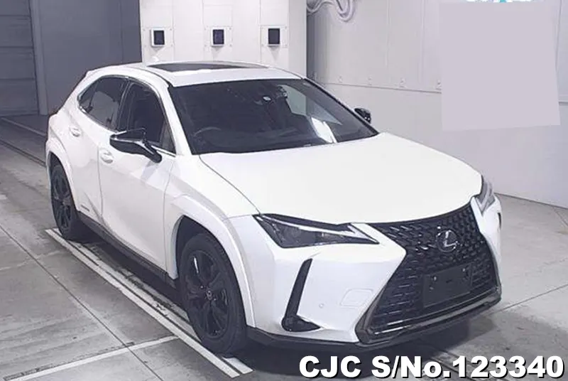 2021 Lexus / UX 250H Stock No. 123340