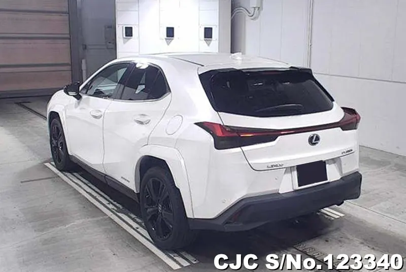 2021 Lexus / UX 250H Stock No. 123340