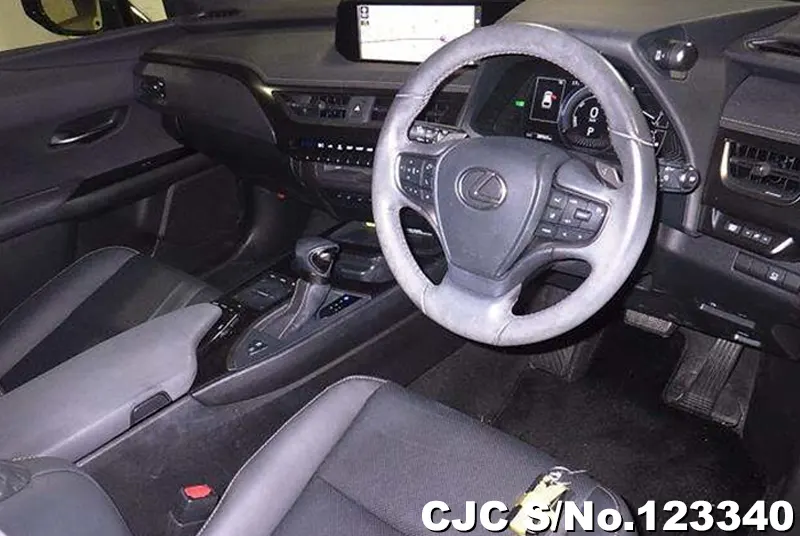 2021 Lexus / UX 250H Stock No. 123340