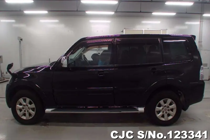 2014 Mitsubishi / Pajero Stock No. 123341