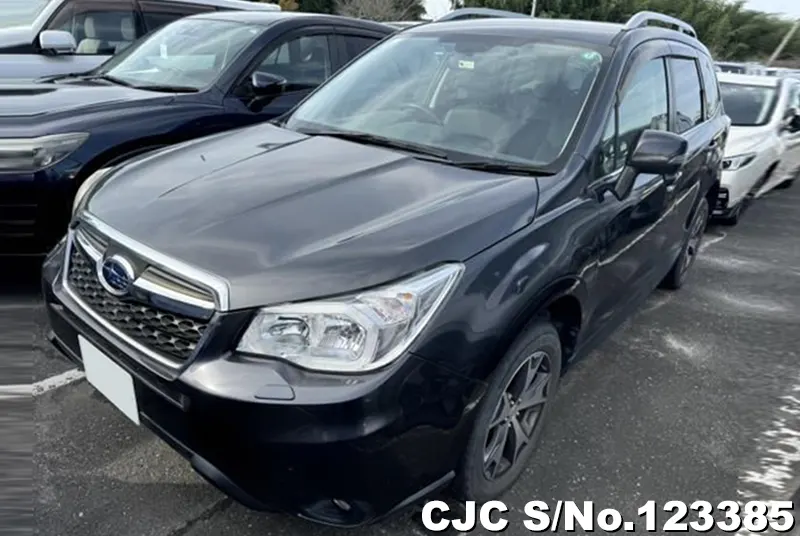 2015 Subaru / Forester Stock No. 123385