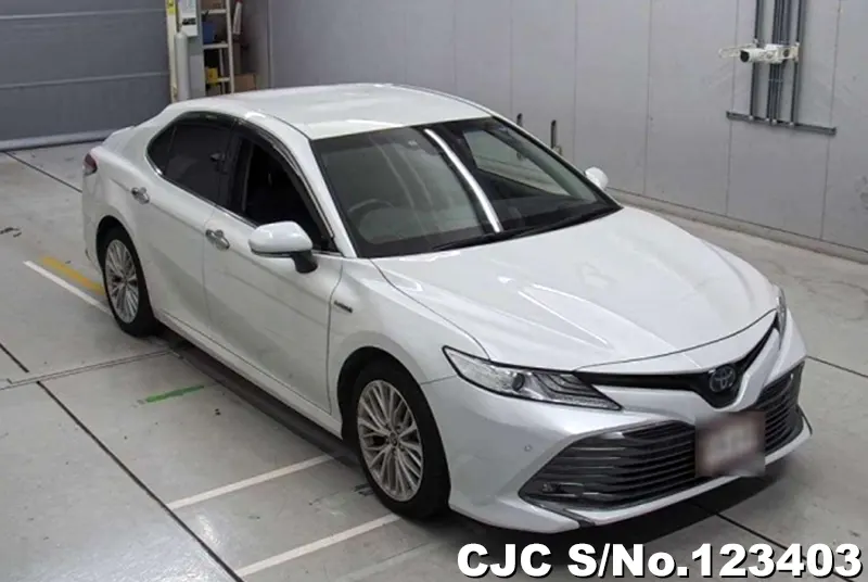 2019 Toyota / Camry Stock No. 123403