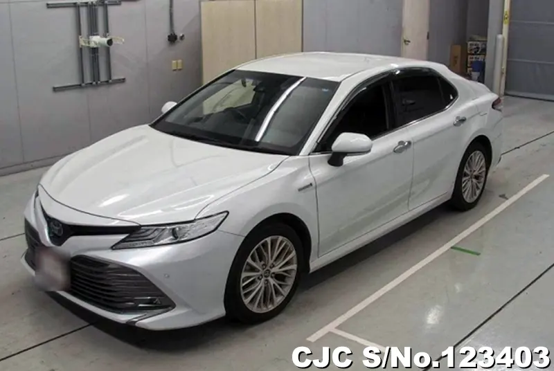 2019 Toyota / Camry Stock No. 123403