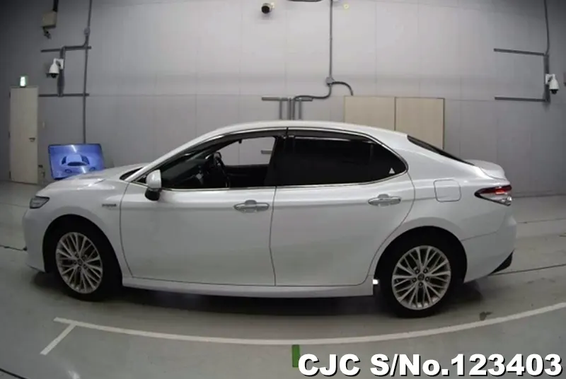 2019 Toyota / Camry Stock No. 123403