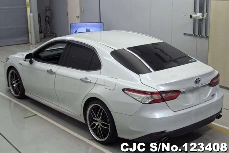 2019 Toyota / Camry Stock No. 123408