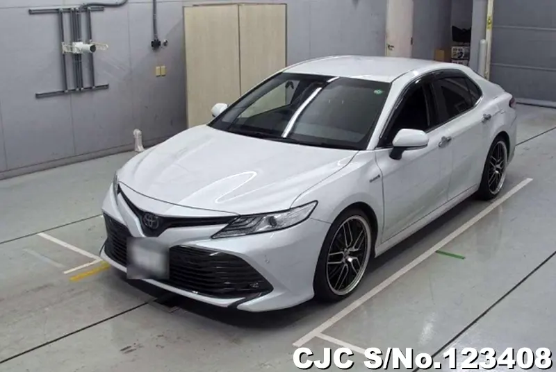 2019 Toyota / Camry Stock No. 123408