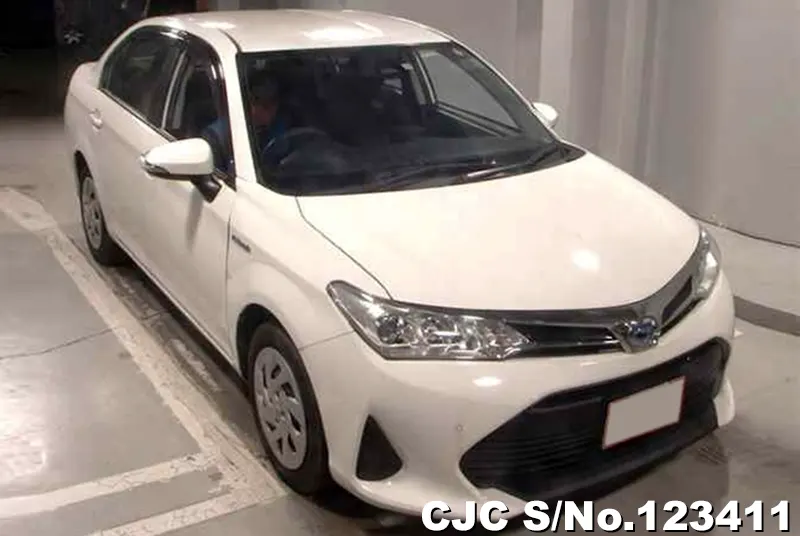 2019 Toyota / Corolla Axio Stock No. 123411