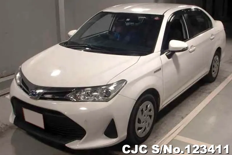 2019 Toyota / Corolla Axio Stock No. 123411