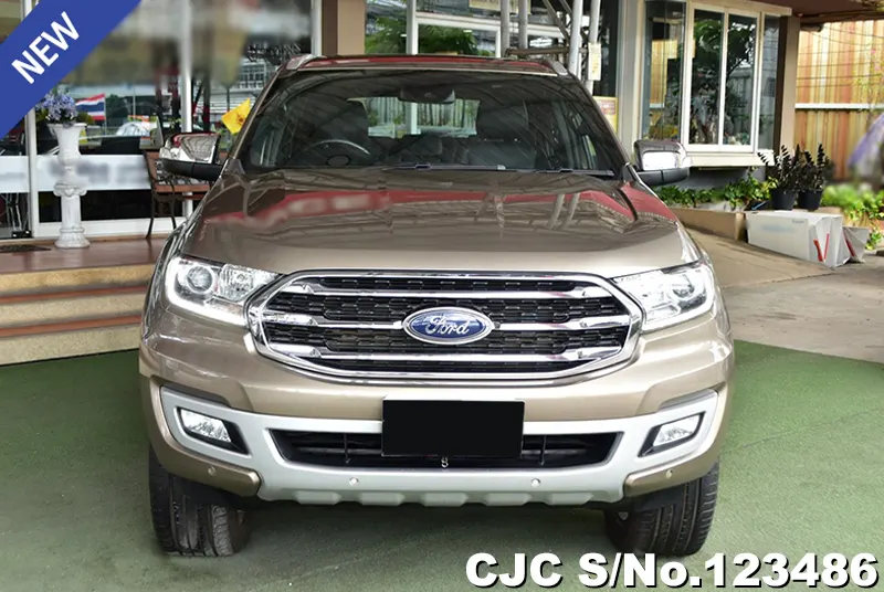 2020 Ford / Everest Stock No. 123501