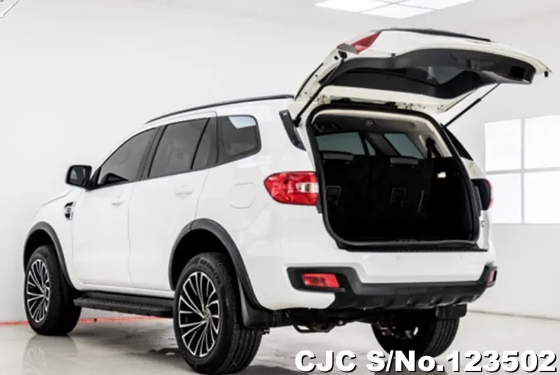 2020 Ford / Everest Stock No. 123502