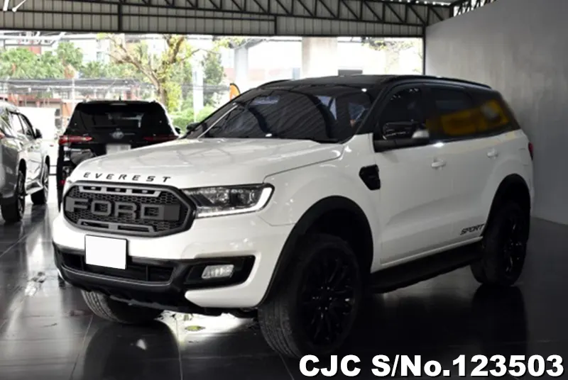 2020 Ford / Everest Stock No. 123503