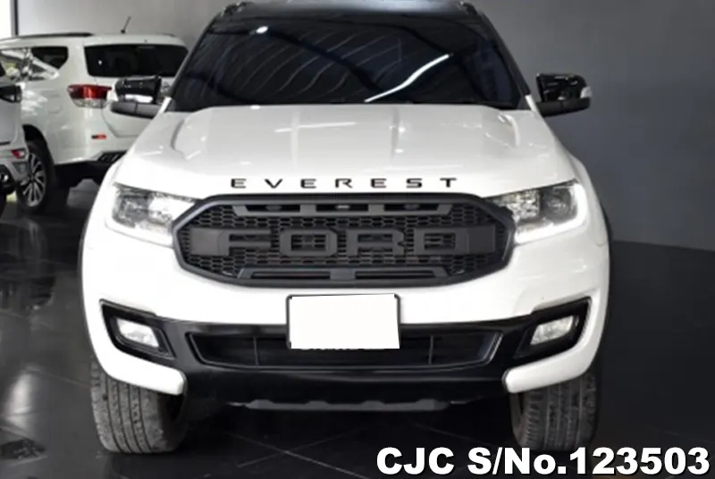 2020 Ford / Everest Stock No. 123503