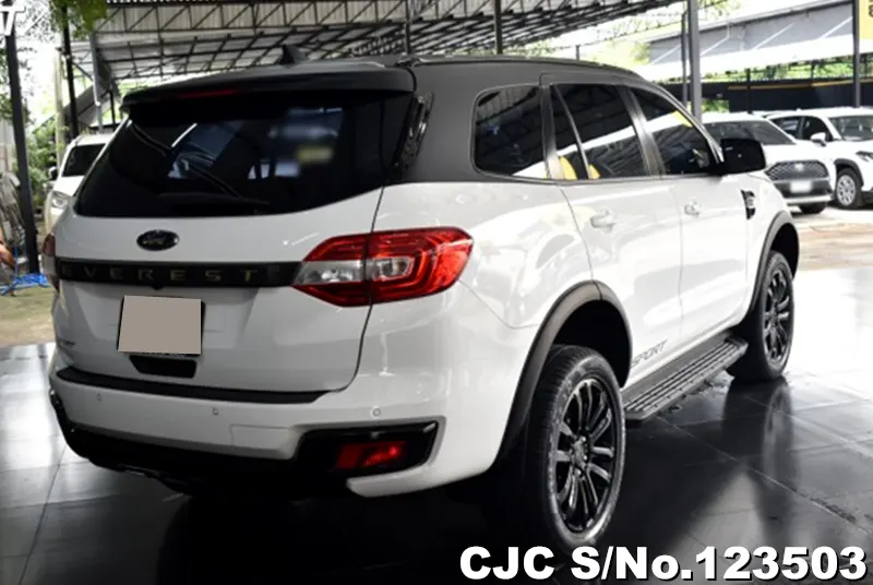 2020 Ford / Everest Stock No. 123503