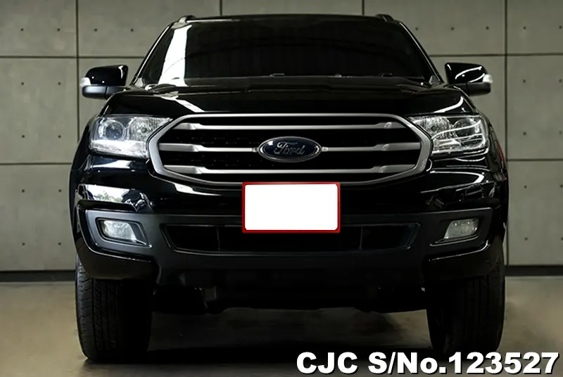 2020 Ford / Everest Stock No. 123527